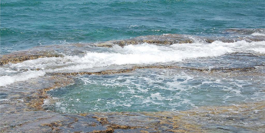 Yamim Suites On The Beach Shave Ziyyon Δωμάτιο φωτογραφία